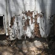 termite damage on home exterior