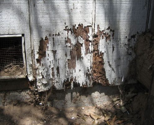 termite damage on home exterior